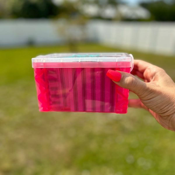 100 Envelope Savings Challenge Box - Fortier Family Budgets