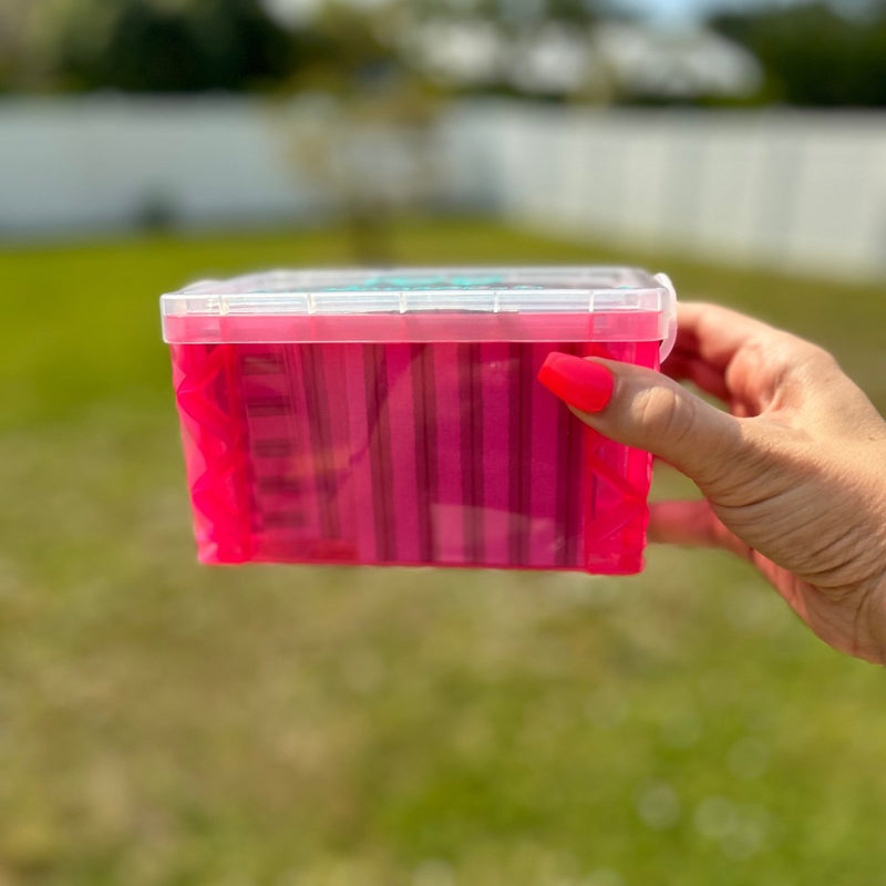 100 Envelope Savings Challenge Box - Fortier Family Budgets