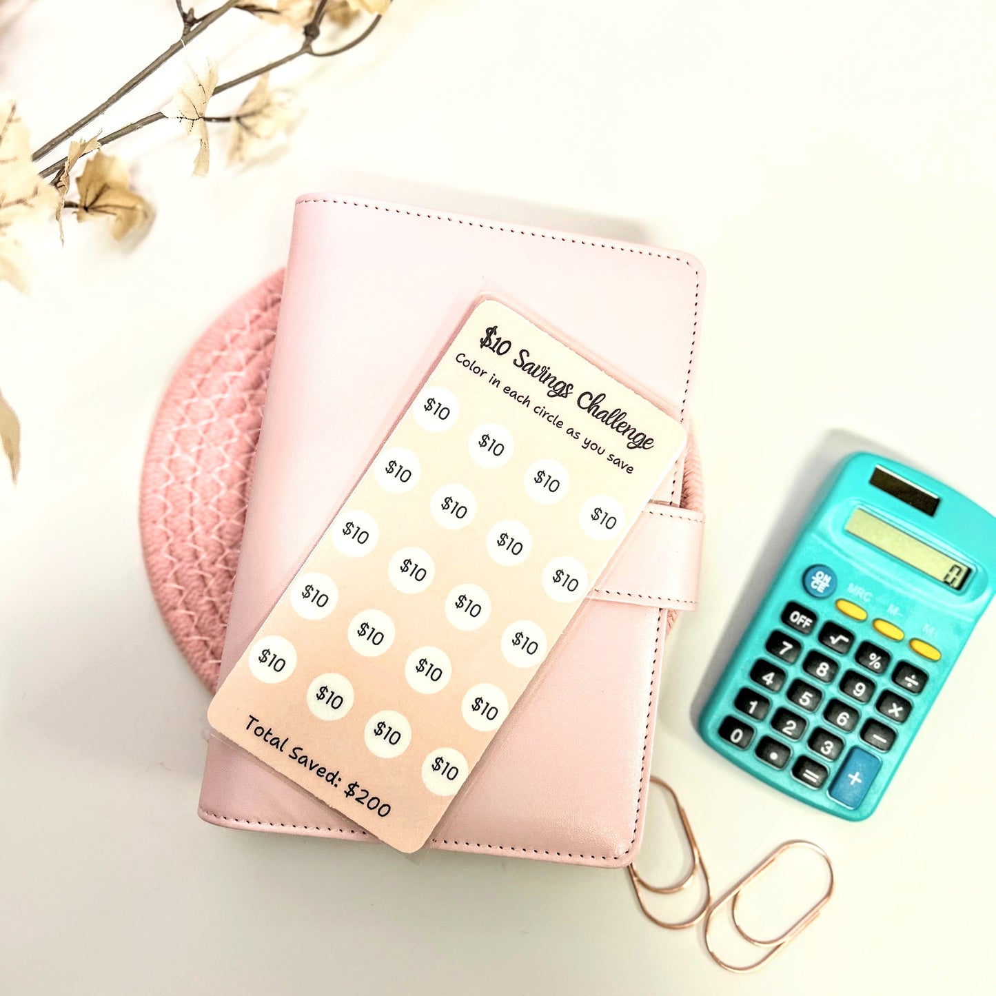 Pink wallet with savings tracker, teal calculator, and decorative branches on a light background
