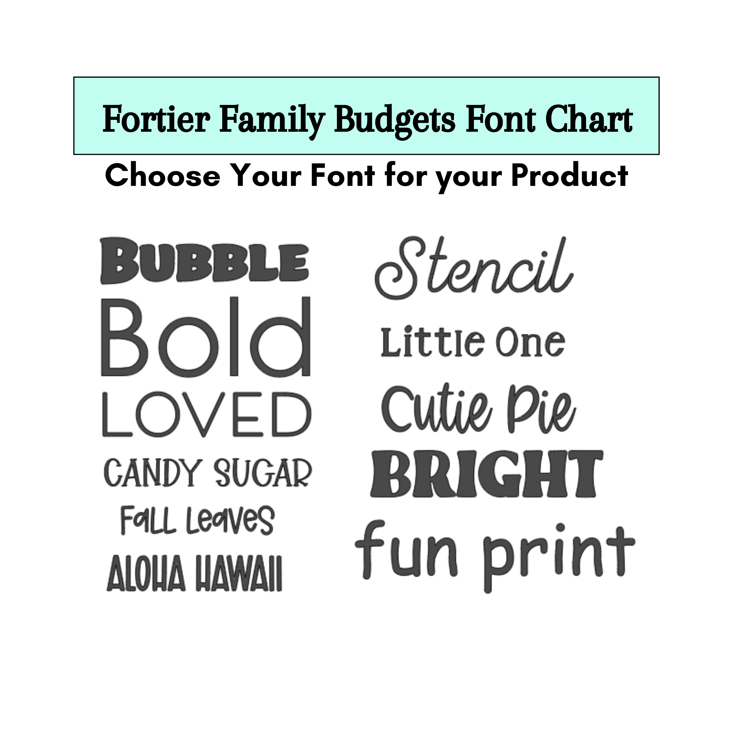 Budget Starter Set for Beginners - Organize & Save Money