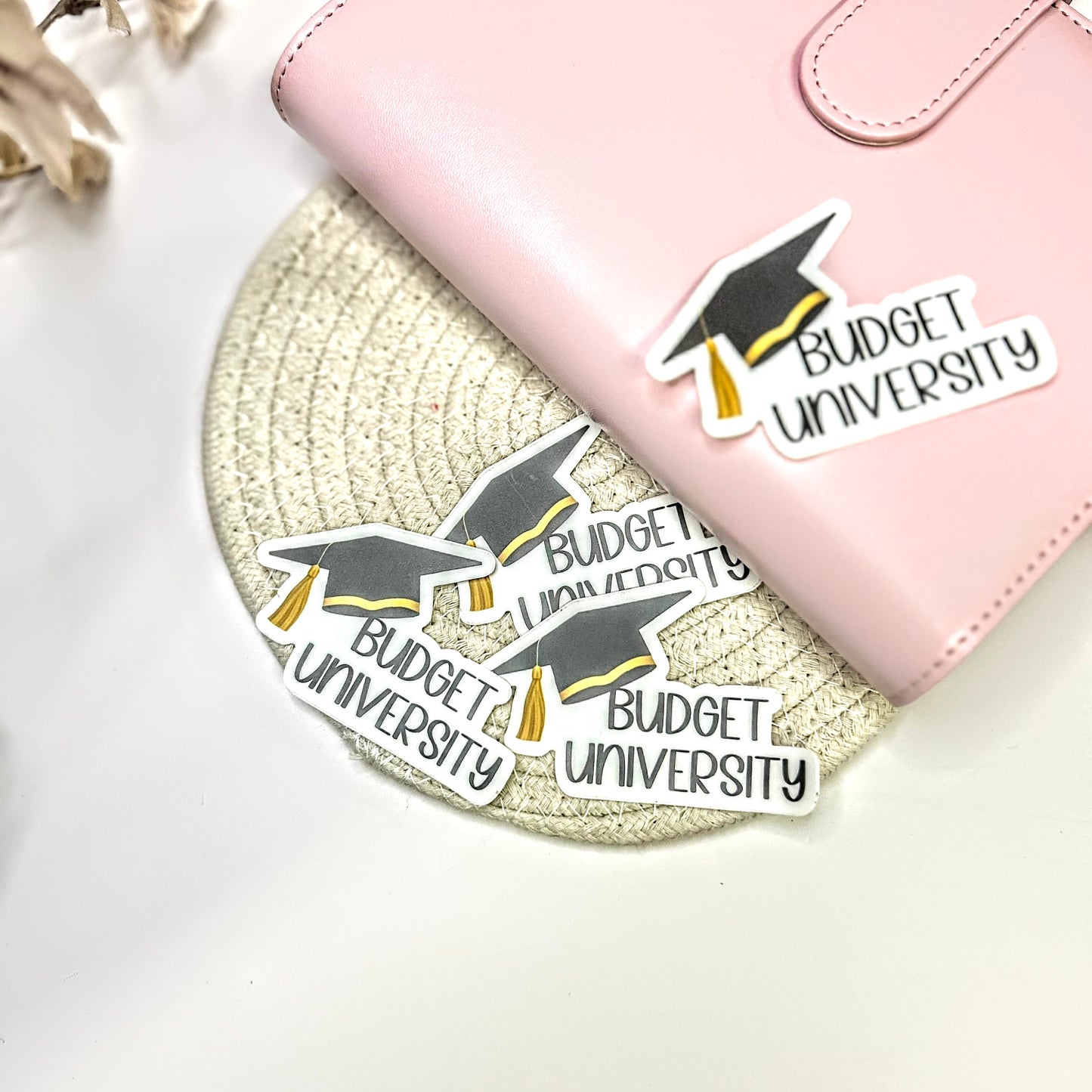 Budget University Sticker – Cute Waterproof Vinyl for College Journals & Planners