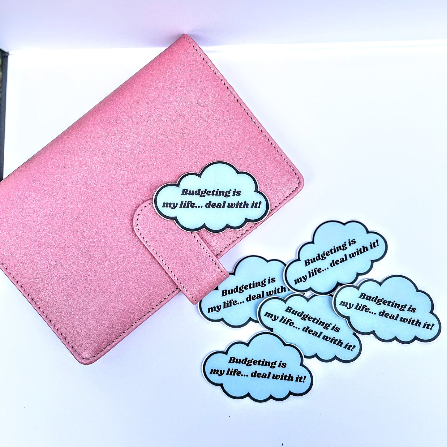Budgeting Is My Life… Deal With It – Vinyl Sticker