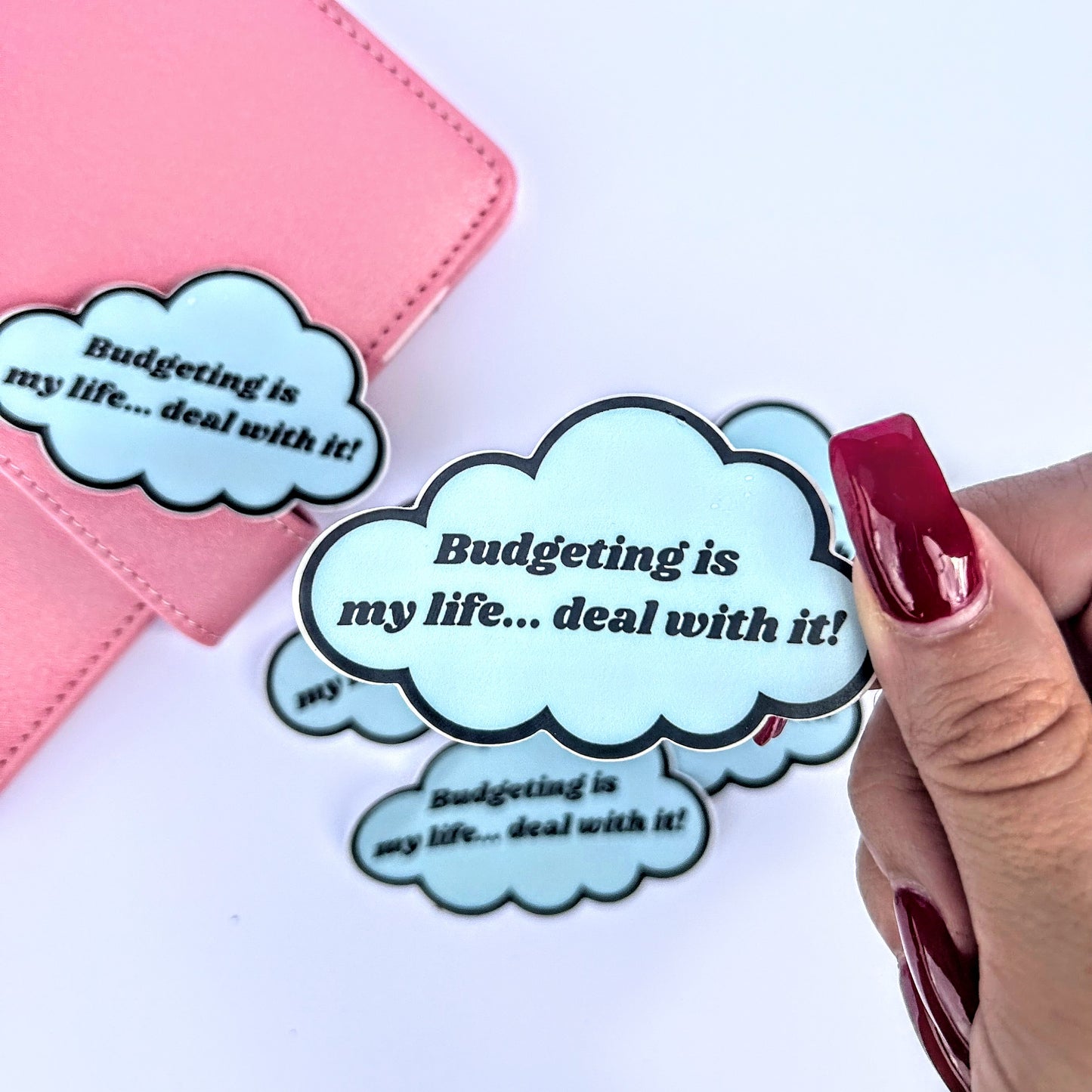 Budgeting Is My Life… Deal With It – Vinyl Sticker