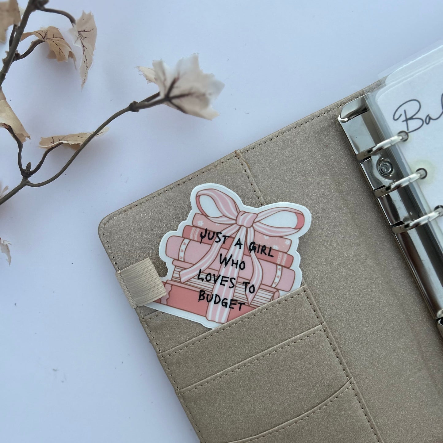 Beige planner with a sticker reading 'Just a girl who loves to budget' on a white background.