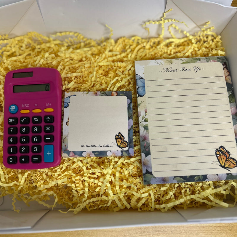 The Budget Starter Journal Set for Beginners - Organize & Save Money