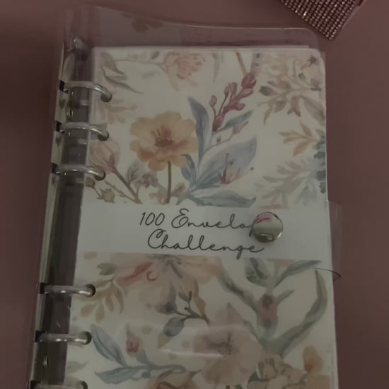 how to use 100 envelope savings challenge binder step by step