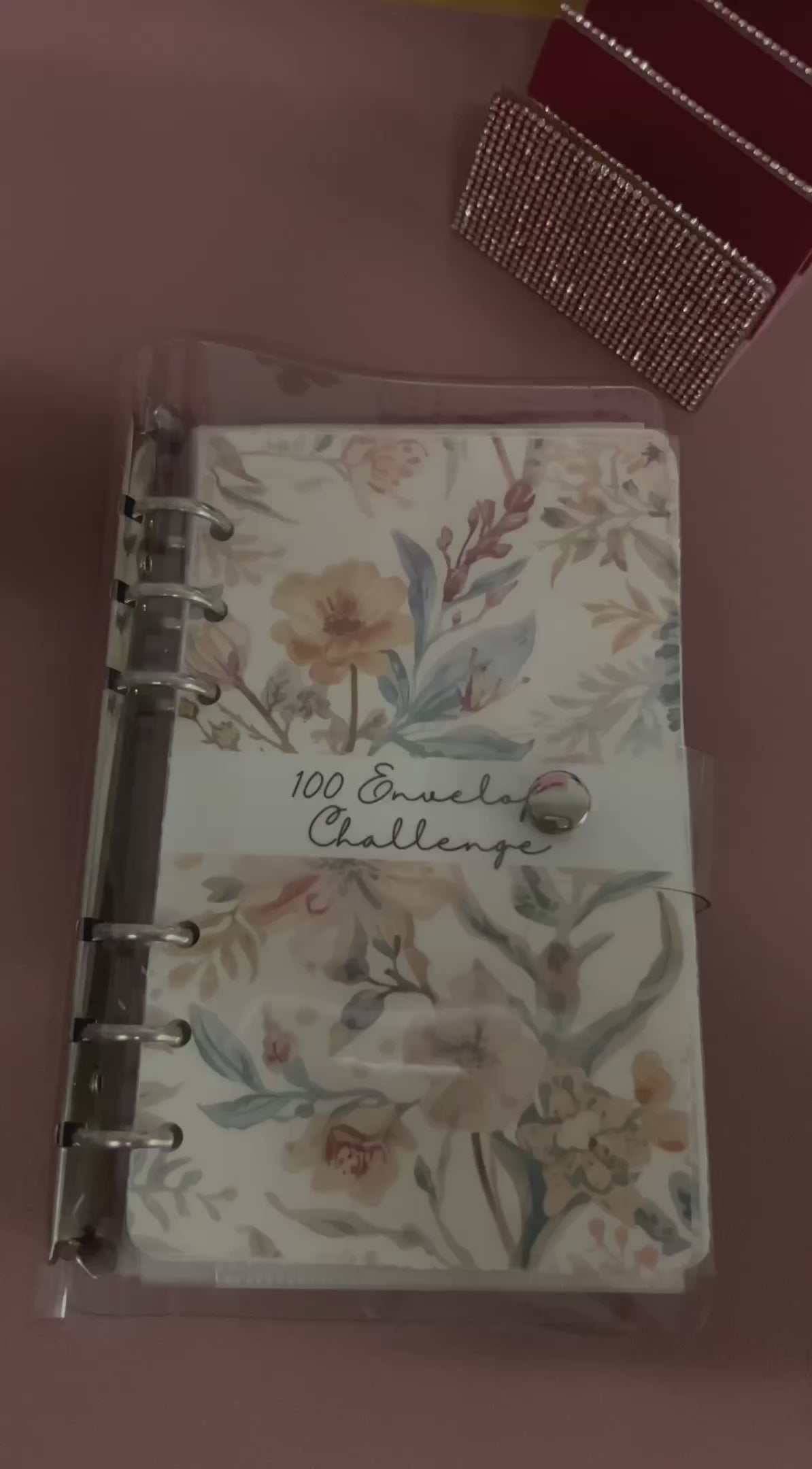 how to use 100 envelope savings challenge binder step by step